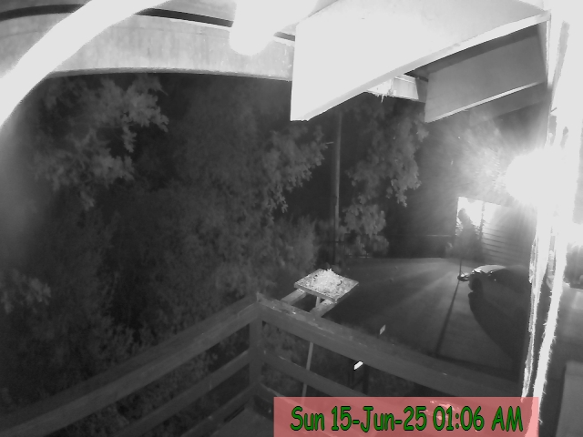 Bass Lake deck camera