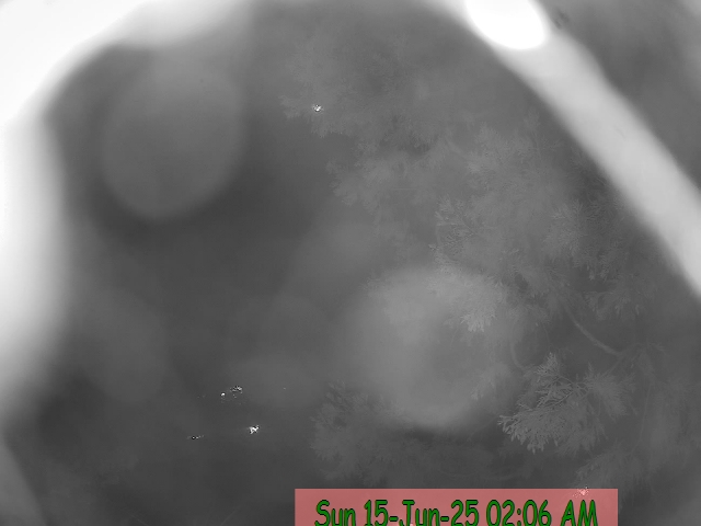 horizon camera