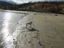 Filename=IMG_0484.JPG
Filesize=702KiB
Dimensions=2048x1536
Date added=Dec 12, 2018 IMG_0484.JPG
