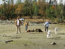 Filename=IMG_0486.JPG
Filesize=947KiB
Dimensions=2048x1536
Date added=Dec 12, 2018 IMG_0486.JPG