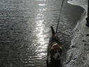 Filename=IMG_0487.JPG
Filesize=639KiB
Dimensions=2048x1536
Date added=Dec 12, 2018 IMG_0487.JPG