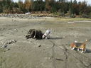 Filename=IMG_0490.JPG
Filesize=951KiB
Dimensions=2048x1536
Date added=Dec 12, 2018 IMG_0490.JPG