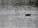 Filename=IMG_0495.JPG
Filesize=796KiB
Dimensions=2048x1536
Date added=Dec 12, 2018 IMG_0495.JPG