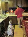 Filename=IMG_1563.JPG
Filesize=402KiB
Dimensions=1536x2048
Date added=Jul 20, 2017 IMG_1563.JPG