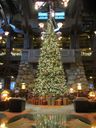 Filename=IMG_1599.JPG
Filesize=437KiB
Dimensions=1536x2048
Date added=Jul 20, 2017 IMG_1599.JPG