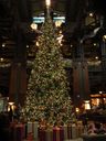 IMG_1615.JPG