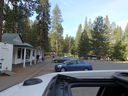 Filename=DSC00798.JPG
Filesize=583KiB
Dimensions=2048x1536
Date added=Feb 01, 2018 DSC00798.JPG