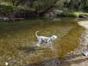 Filename=DSC00801.JPG
Filesize=846KiB
Dimensions=2048x1536
Date added=Feb 01, 2018 DSC00801.JPG