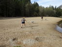 Filename=DSC00802.JPG
Filesize=820KiB
Dimensions=2048x1536
Date added=Feb 01, 2018 DSC00802.JPG
