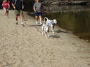 Filename=DSC00806.JPG
Filesize=825KiB
Dimensions=2048x1536
Date added=Feb 01, 2018 DSC00806.JPG
