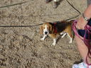 Filename=DSC00807.JPG
Filesize=1044KiB
Dimensions=2048x1536
Date added=Feb 01, 2018 DSC00807.JPG