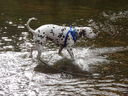 Filename=DSC00817.JPG
Filesize=700KiB
Dimensions=2048x1536
Date added=Feb 01, 2018 DSC00817.JPG