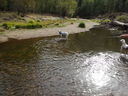 Filename=DSC00818.JPG
Filesize=774KiB
Dimensions=2048x1536
Date added=Feb 01, 2018 DSC00818.JPG