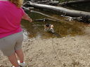 Filename=DSC00819.JPG
Filesize=876KiB
Dimensions=2048x1536
Date added=Feb 01, 2018 DSC00819.JPG