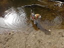 Filename=DSC00820.JPG
Filesize=945KiB
Dimensions=2048x1536
Date added=Feb 01, 2018 DSC00820.JPG