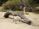 Filename=DSC00821.JPG
Filesize=850KiB
Dimensions=2048x1536
Date added=Feb 01, 2018 DSC00821.JPG