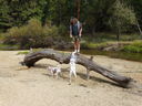Filename=DSC00822.JPG
Filesize=849KiB
Dimensions=2048x1536
Date added=Feb 01, 2018 DSC00822.JPG