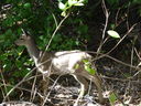 Filename=DSC00826.JPG
Filesize=539KiB
Dimensions=2048x1536
Date added=Feb 01, 2018 DSC00826.JPG