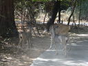 Filename=DSC00827.JPG
Filesize=642KiB
Dimensions=2048x1536
Date added=Feb 01, 2018 DSC00827.JPG
