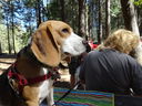 Filename=DSC00841.JPG
Filesize=648KiB
Dimensions=2048x1536
Date added=Feb 01, 2018 DSC00841.JPG