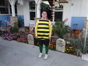 Filename=DSC00855.JPG
Filesize=497KiB
Dimensions=2048x1536
Date added=Feb 01, 2018 DSC00855.JPG