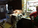 Filename=DSC00883.JPG
Filesize=417KiB
Dimensions=2048x1536
Date added=Feb 01, 2018 DSC00883.JPG