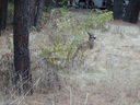 DSC00939.JPG