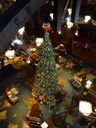 Filename=DSC00948.JPG
Filesize=470KiB
Dimensions=1536x2048
Date added=Feb 01, 2018 DSC00948.JPG