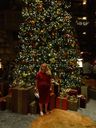 Filename=DSC00961.JPG
Filesize=452KiB
Dimensions=1536x2048
Date added=Feb 01, 2018 DSC00961.JPG