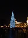 Filename=DSC00965.JPG
Filesize=292KiB
Dimensions=1536x2048
Date added=Feb 01, 2018 DSC00965.JPG