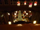 Filename=DSC00968.JPG
Filesize=385KiB
Dimensions=2048x1536
Date added=Feb 01, 2018 DSC00968.JPG