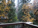 Filename=DSC01442.JPG
Filesize=770KiB
Dimensions=2048x1536
Date added=Feb 09, 2018 DSC01442.JPG