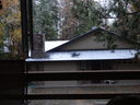 Filename=DSC01445.JPG
Filesize=430KiB
Dimensions=2048x1536
Date added=Feb 09, 2018 DSC01445.JPG