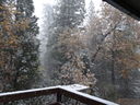 Filename=DSC01448.JPG
Filesize=855KiB
Dimensions=2048x1536
Date added=Feb 09, 2018 DSC01448.JPG