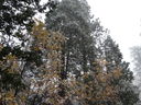 Filename=DSC01449.JPG
Filesize=871KiB
Dimensions=2048x1536
Date added=Feb 09, 2018 DSC01449.JPG