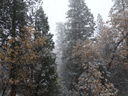 Filename=DSC01450.JPG
Filesize=822KiB
Dimensions=2048x1536
Date added=Feb 09, 2018 DSC01450.JPG