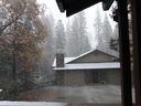 Filename=DSC01451.JPG
Filesize=586KiB
Dimensions=2048x1536
Date added=Feb 09, 2018 DSC01451.JPG