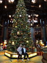 Filename=DSC01457.JPG
Filesize=670KiB
Dimensions=1536x2048
Date added=Feb 09, 2018 DSC01457.JPG