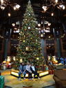Filename=DSC01458.JPG
Filesize=648KiB
Dimensions=1536x2048
Date added=Feb 09, 2018 DSC01458.JPG