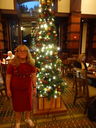 Filename=DSC01470.JPG
Filesize=456KiB
Dimensions=1536x2048
Date added=Feb 09, 2018 DSC01470.JPG