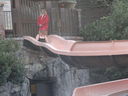 Filename=DSC01480.JPG
Filesize=416KiB
Dimensions=2048x1536
Date added=Feb 09, 2018 DSC01480.JPG