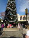 Filename=DSC01506.JPG
Filesize=647KiB
Dimensions=1536x2048
Date added=Feb 09, 2018 DSC01506.JPG