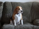 Filename=DSC01508.JPG
Filesize=371KiB
Dimensions=2048x1536
Date added=Feb 09, 2018 DSC01508.JPG