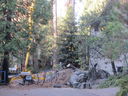 Filename=IMG_1820.JPG
Filesize=747KiB
Dimensions=2048x1536
Date added=Feb 09, 2018 IMG_1820.JPG