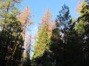 Filename=IMG_1821.JPG
Filesize=847KiB
Dimensions=2048x1536
Date added=Feb 09, 2018 IMG_1821.JPG