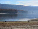 Filename=IMG_1823.JPG
Filesize=411KiB
Dimensions=2048x1536
Date added=Feb 09, 2018 IMG_1823.JPG