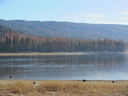 Filename=IMG_1824.JPG
Filesize=385KiB
Dimensions=2048x1536
Date added=Feb 09, 2018 IMG_1824.JPG