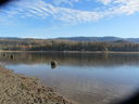 Filename=IMG_1826.JPG
Filesize=450KiB
Dimensions=2048x1536
Date added=Feb 09, 2018 IMG_1826.JPG