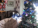 Filename=IMG_1835.JPG
Filesize=459KiB
Dimensions=2048x1536
Date added=Feb 09, 2018 IMG_1835.JPG