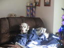 Filename=IMG_1836.JPG
Filesize=272KiB
Dimensions=2048x1536
Date added=Feb 09, 2018 IMG_1836.JPG
